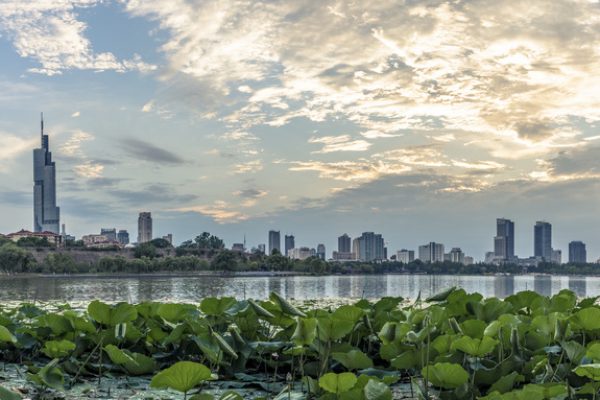 摄图网_501632603_wx_夏日玄武湖夕阳（企业商用）